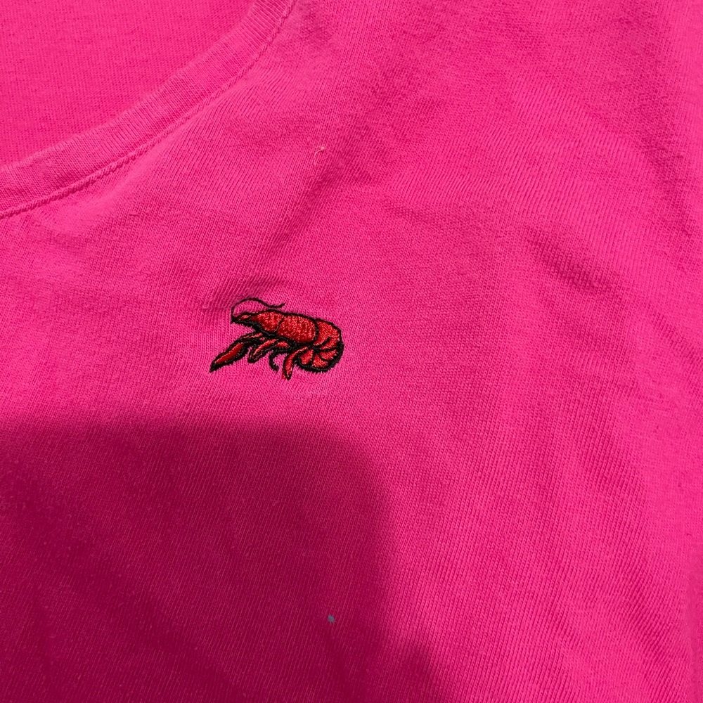 Pink Perlis V Neck